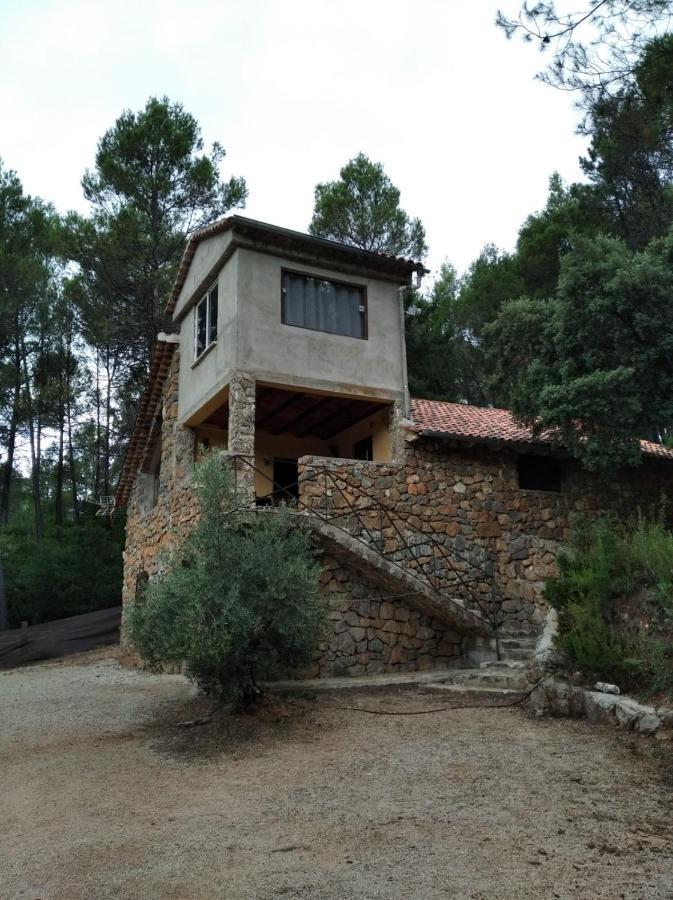 Casas Rurales Hoya Calvete Yeste Kültér fotó